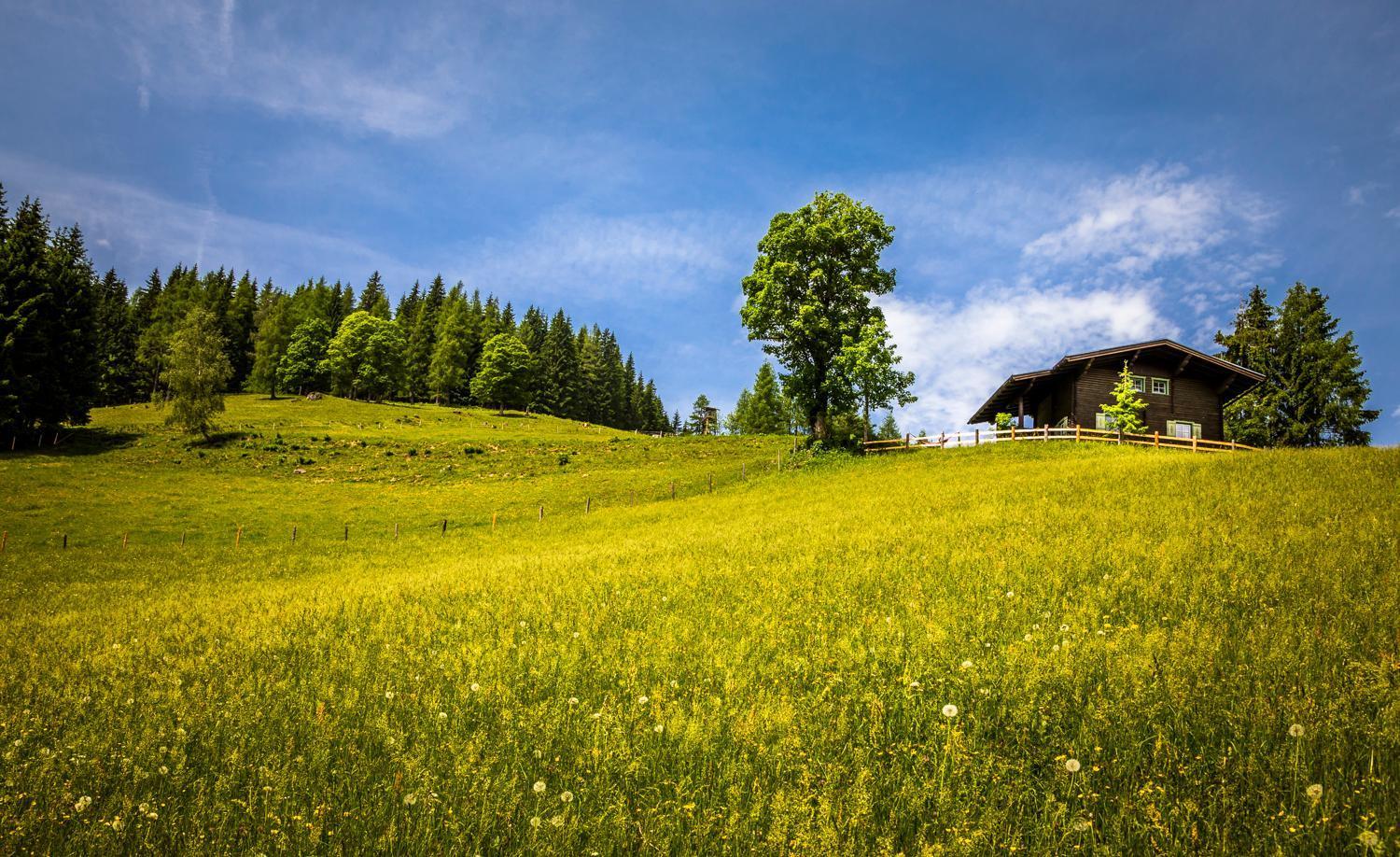Bauernhof Auhof Apartment วาไกรน์ ภายนอก รูปภาพ
